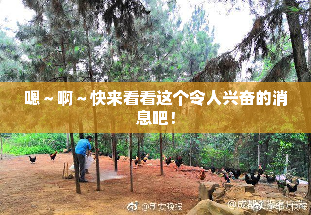 嗯～啊～快来看看这个令人兴奋的消息吧！