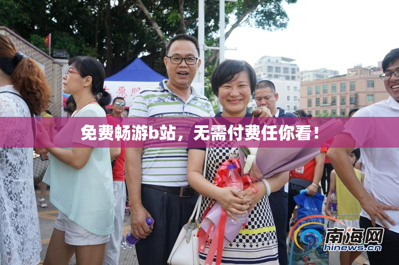 免费畅游b站，无需付费任你看！