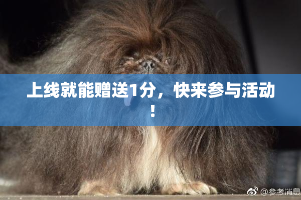上线就能赠送1分，快来参与活动！