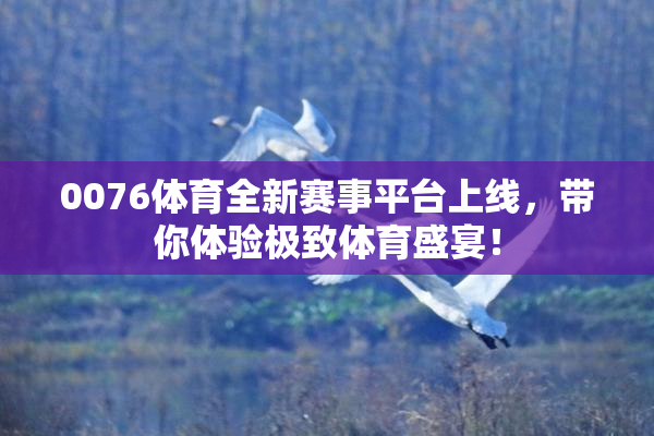 0076体育全新赛事平台上线，带你体验极致体育盛宴！