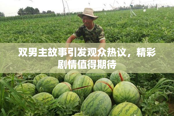 双男主故事引发观众热议，精彩剧情值得期待