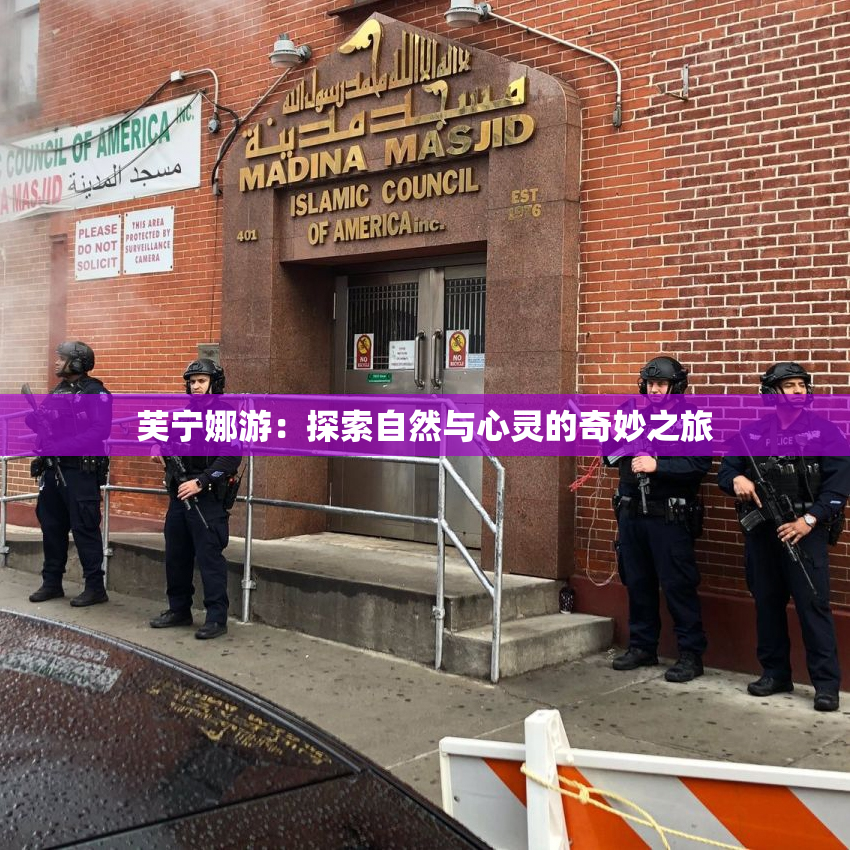 芙宁娜游：探索自然与心灵的奇妙之旅