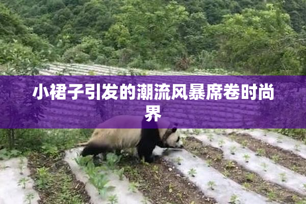 小裙子引发的潮流风暴席卷时尚界