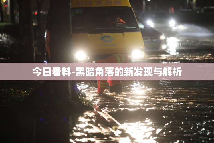 今日看料-黑暗角落的新发现与解析
