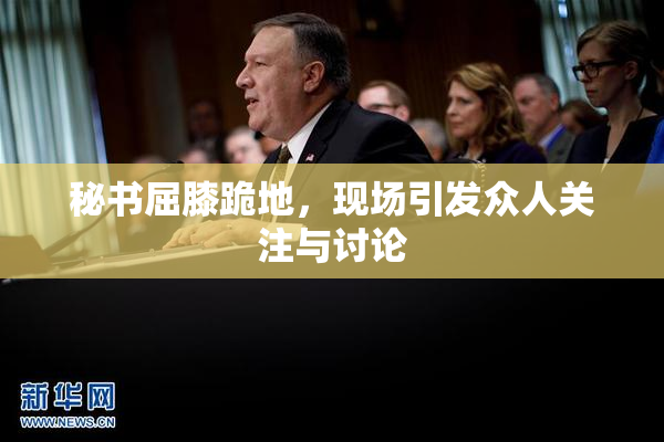 秘书屈膝跪地，现场引发众人关注与讨论