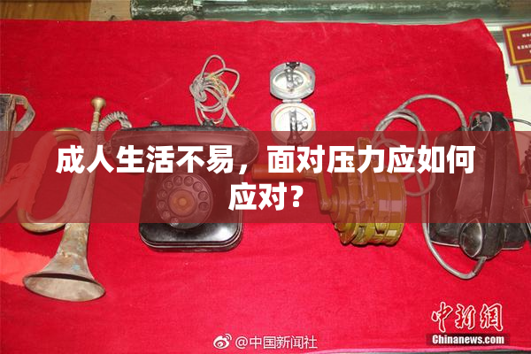 成人生活不易，面对压力应如何应对？