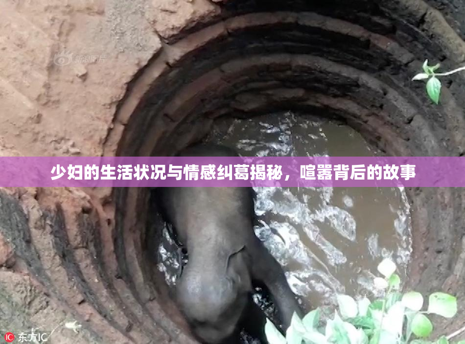 少妇的生活状况与情感纠葛揭秘，喧嚣背后的故事