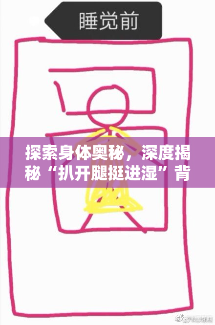 探索身体奥秘，深度揭秘“扒开腿挺进湿”背后的故事