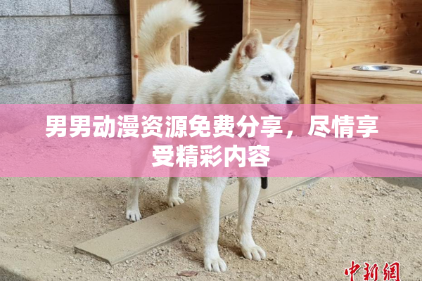 男男动漫资源免费分享，尽情享受精彩内容