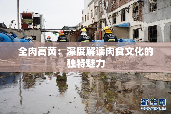 全肉高黄：深度解读肉食文化的独特魅力