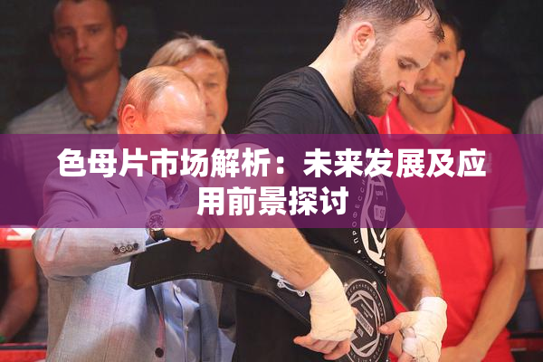 色母片市场解析：未来发展及应用前景探讨
