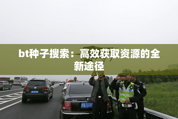 bt种子搜索：高效获取资源的全新途径