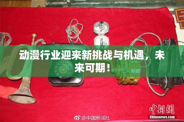 动漫行业迎来新挑战与机遇，未来可期！