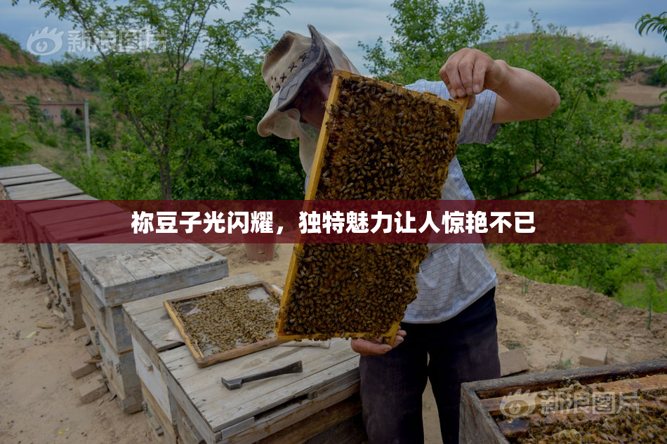 祢豆子光闪耀，独特魅力让人惊艳不已