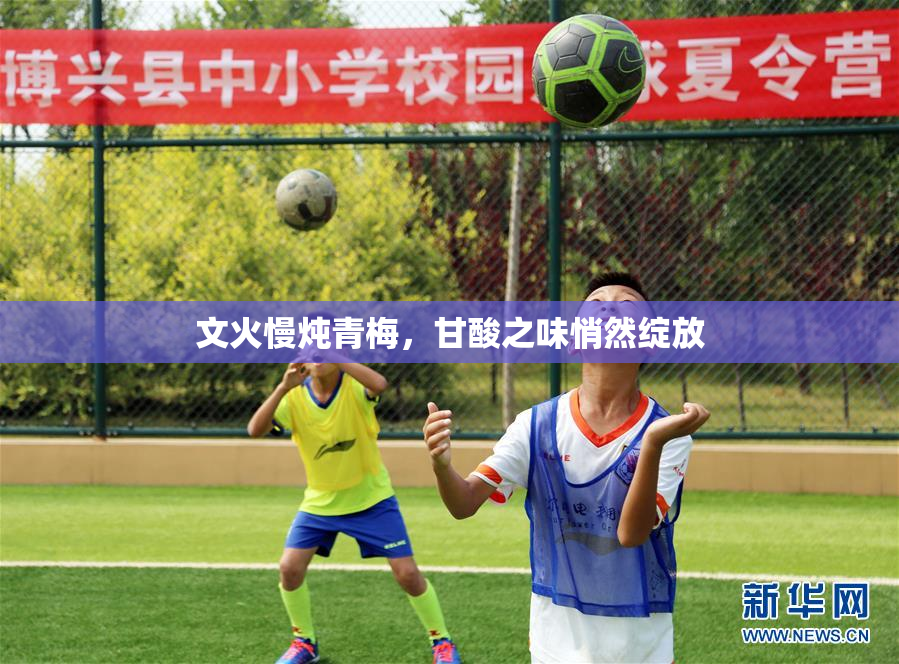 文火慢炖青梅，甘酸之味悄然绽放