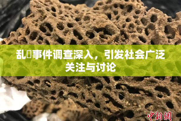 乱婬事件调查深入，引发社会广泛关注与讨论