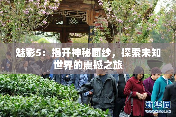 魅影5：揭开神秘面纱，探索未知世界的震撼之旅