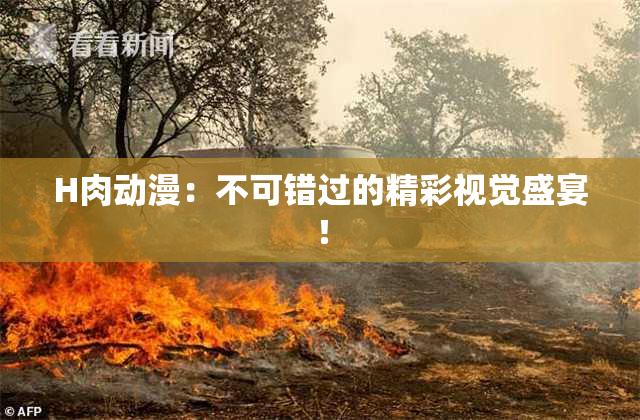 H肉动漫：不可错过的精彩视觉盛宴！