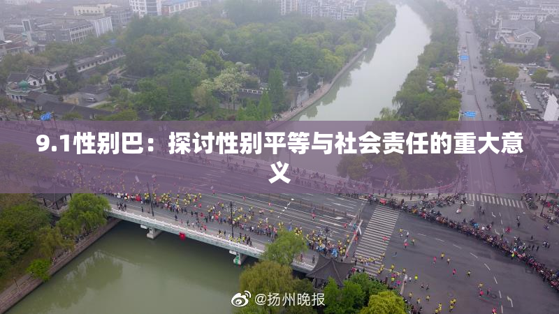 9.1性别巴：探讨性别平等与社会责任的重大意义