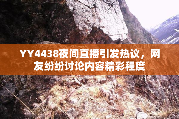 YY4438夜间直播引发热议，网友纷纷讨论内容精彩程度