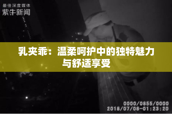 乳夹乖：温柔呵护中的独特魅力与舒适享受