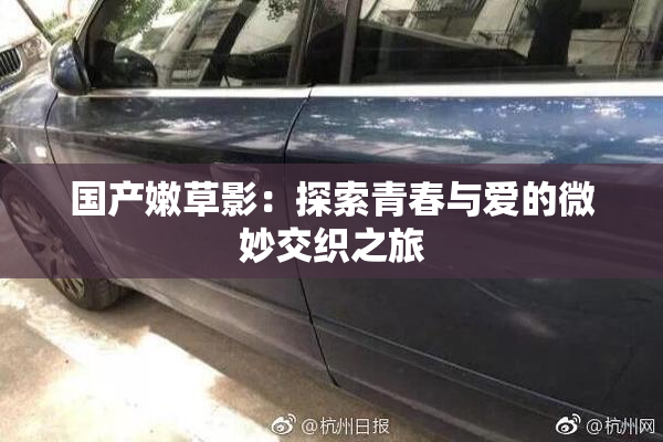 国产嫩草影：探索青春与爱的微妙交织之旅