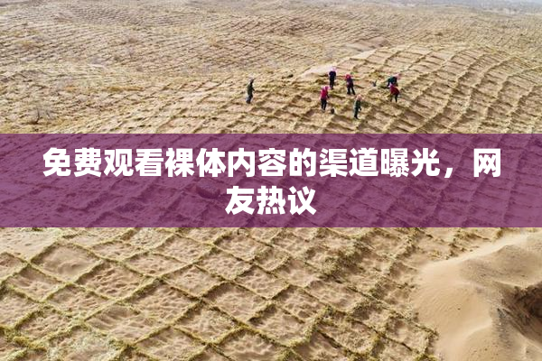 免费观看裸体内容的渠道曝光，网友热议