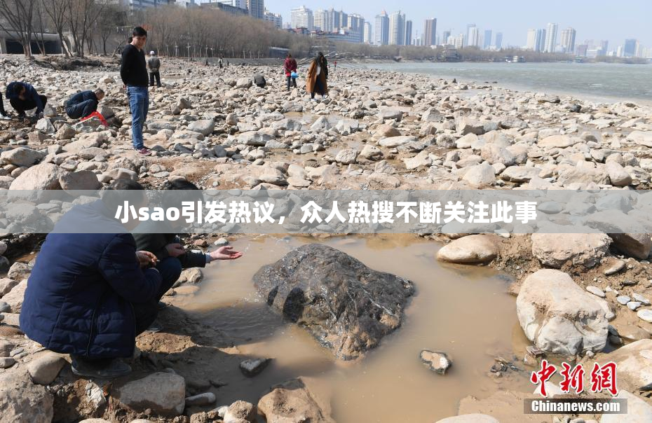 小sao引发热议，众人热搜不断关注此事