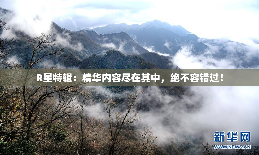 R星特辑：精华内容尽在其中，绝不容错过！