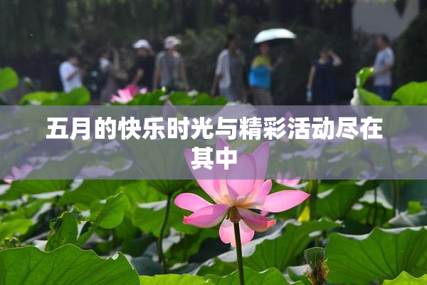 五月的快乐时光与精彩活动尽在其中