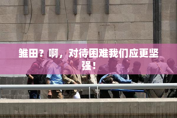 雏田？啊，对待困难我们应更坚强！