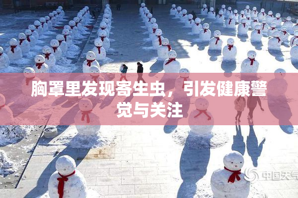 胸罩里发现寄生虫，引发健康警觉与关注