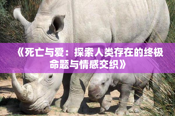 《死亡与爱：探索人类存在的终极命题与情感交织》