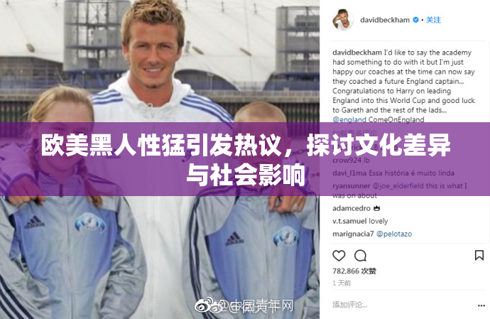 欧美黑人性猛引发热议，探讨文化差异与社会影响