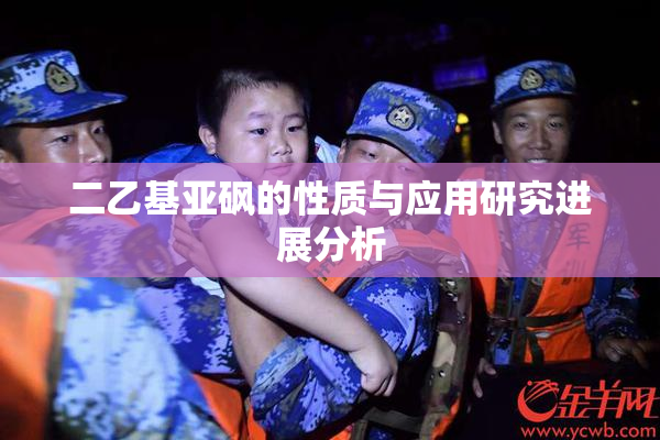 二乙基亚砜的性质与应用研究进展分析