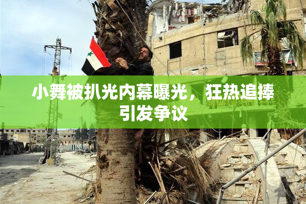 小舞被扒光内幕曝光，狂热追捧引发争议