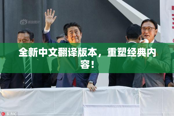 全新中文翻译版本，重塑经典内容！