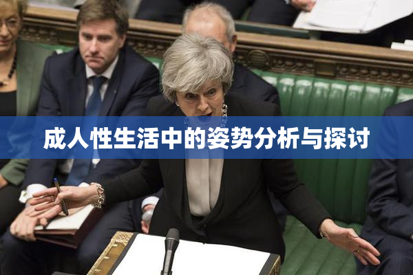 成人性生活中的姿势分析与探讨