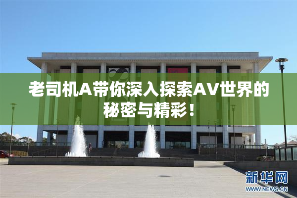 老司机A带你深入探索AV世界的秘密与精彩！