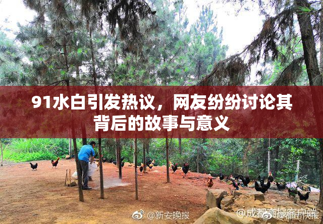 91水白引发热议，网友纷纷讨论其背后的故事与意义