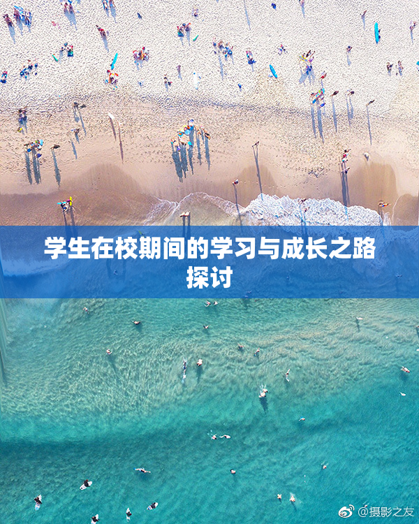 学生在校期间的学习与成长之路探讨