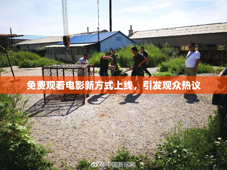 免费观看电影新方式上线，引发观众热议