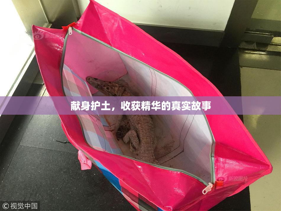 献身护土，收获精华的真实故事