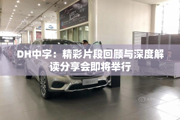 DH中字：精彩片段回顾与深度解读分享会即将举行