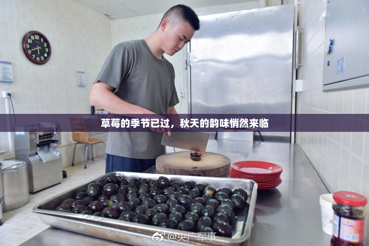 草莓的季节已过，秋天的韵味悄然来临
