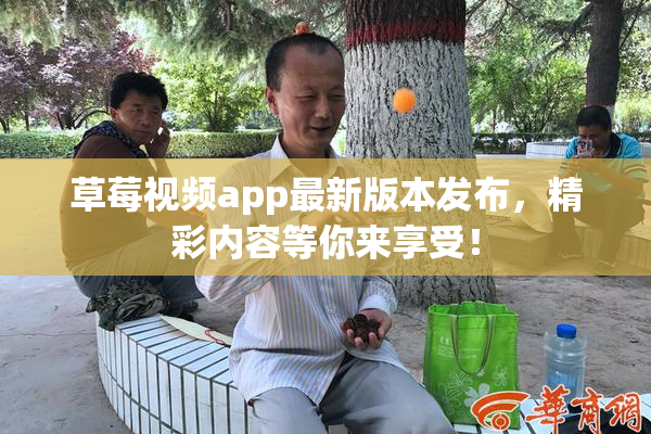 草莓视频app最新版本发布，精彩内容等你来享受！