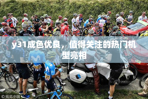 y31成色优良，值得关注的热门机型亮相