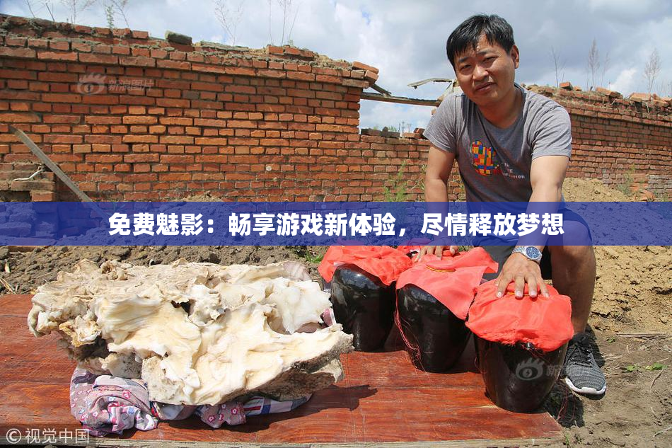 免费魅影：畅享游戏新体验，尽情释放梦想