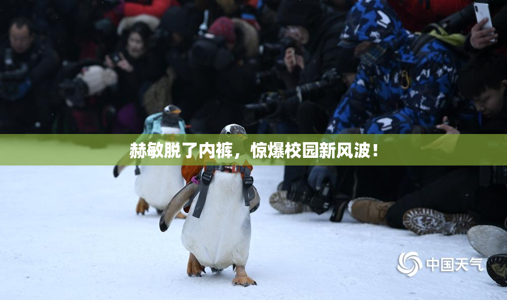 赫敏脱了内裤，惊爆校园新风波！