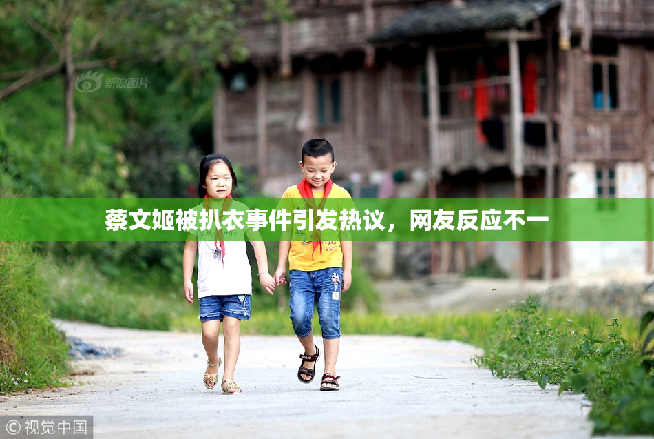 蔡文姬被扒衣事件引发热议，网友反应不一
